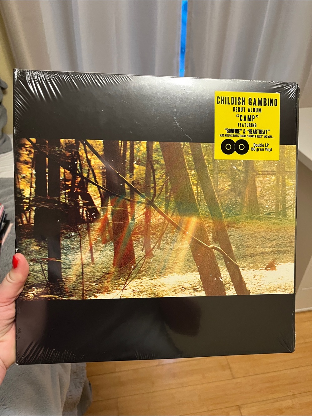 Childish gambino CAMP vinyl